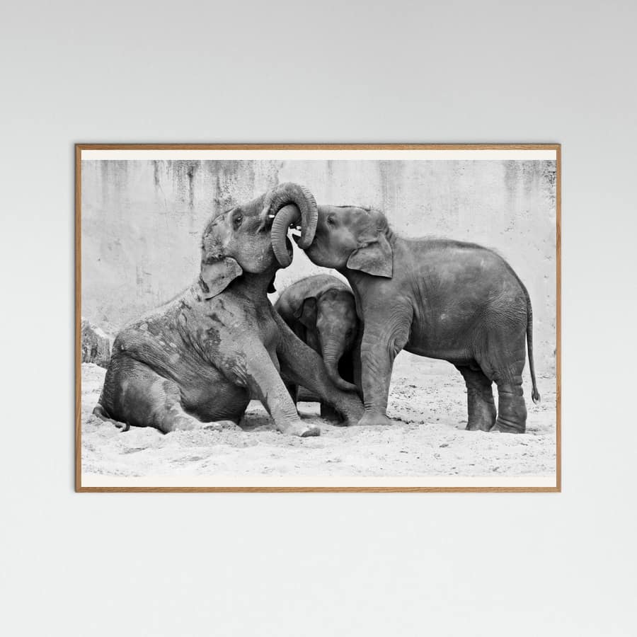 MÉNAGE À TROIS Poster – Poster und Kunstdruck