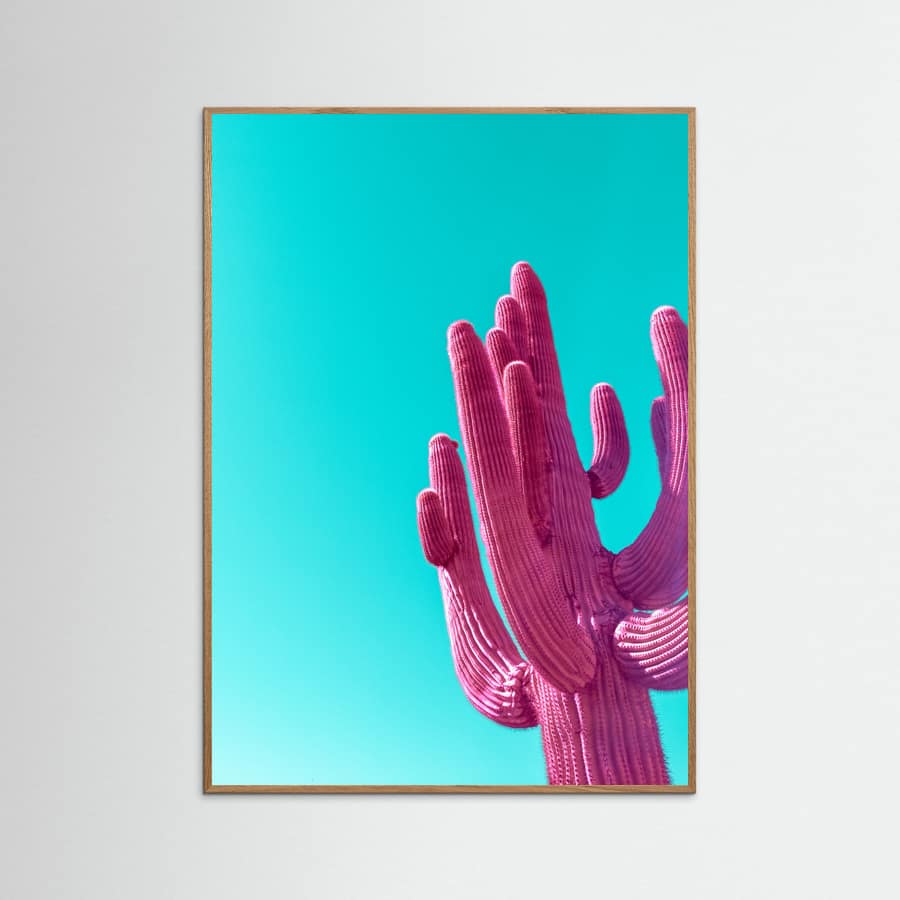 Magenta Pink Saguaro Poster