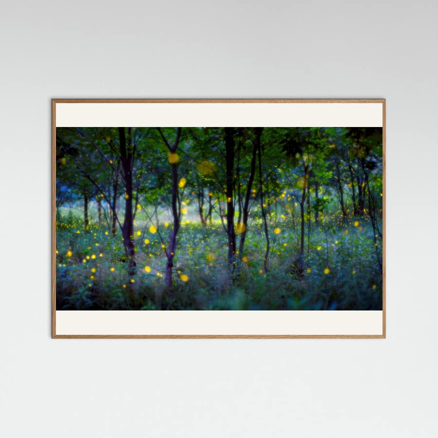 Magic fireflies Poster – poster and art print