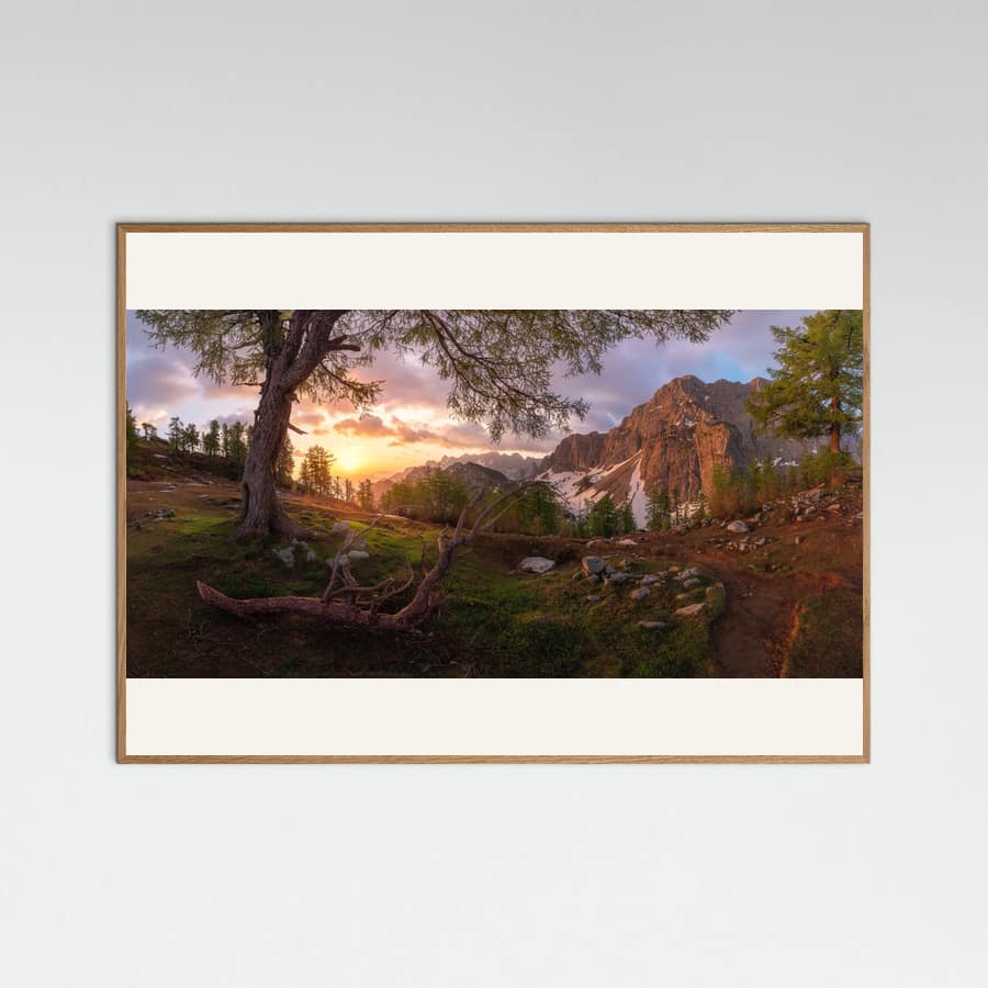 Magical morning -juliste – juliste ja taidepainatus