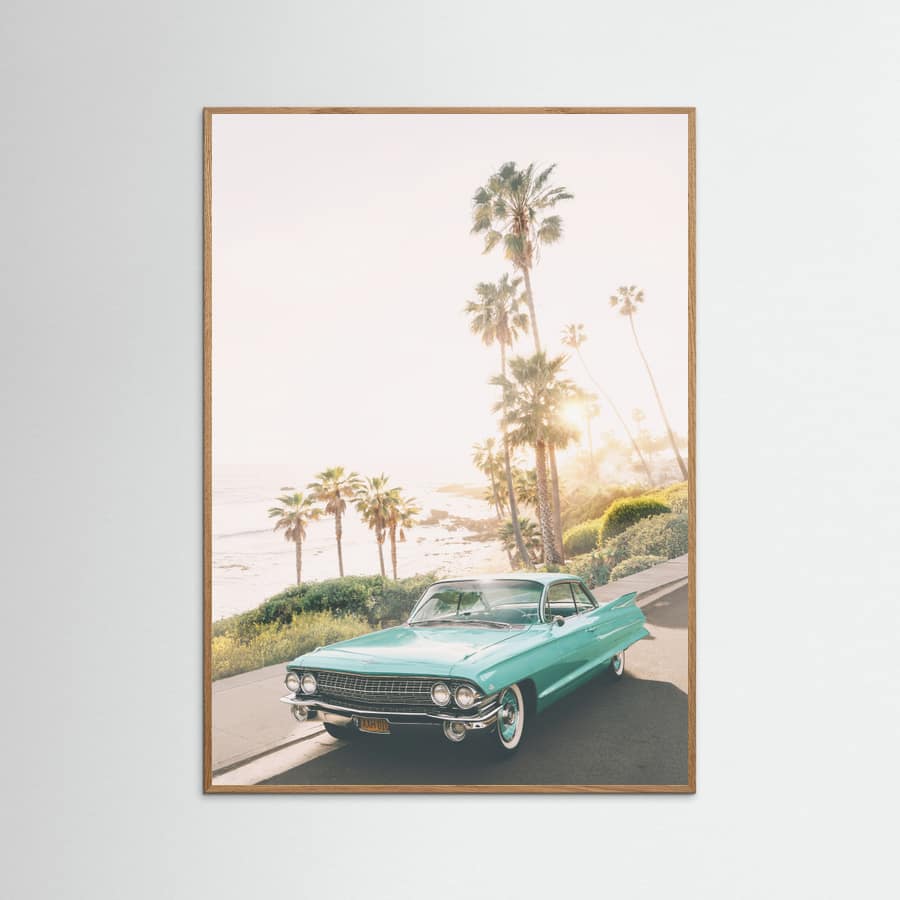 Malibu Classic Poster