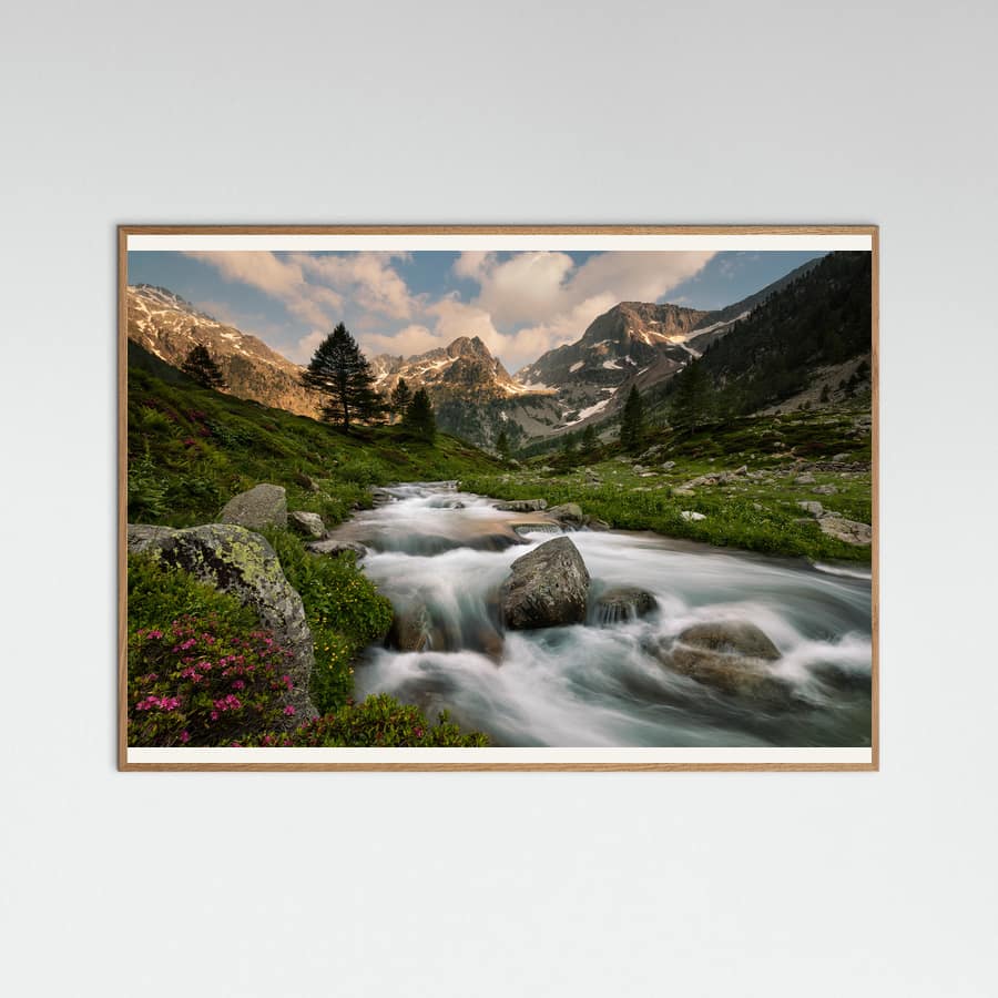 Maritime Alps Park -juliste – juliste ja taidepainatus