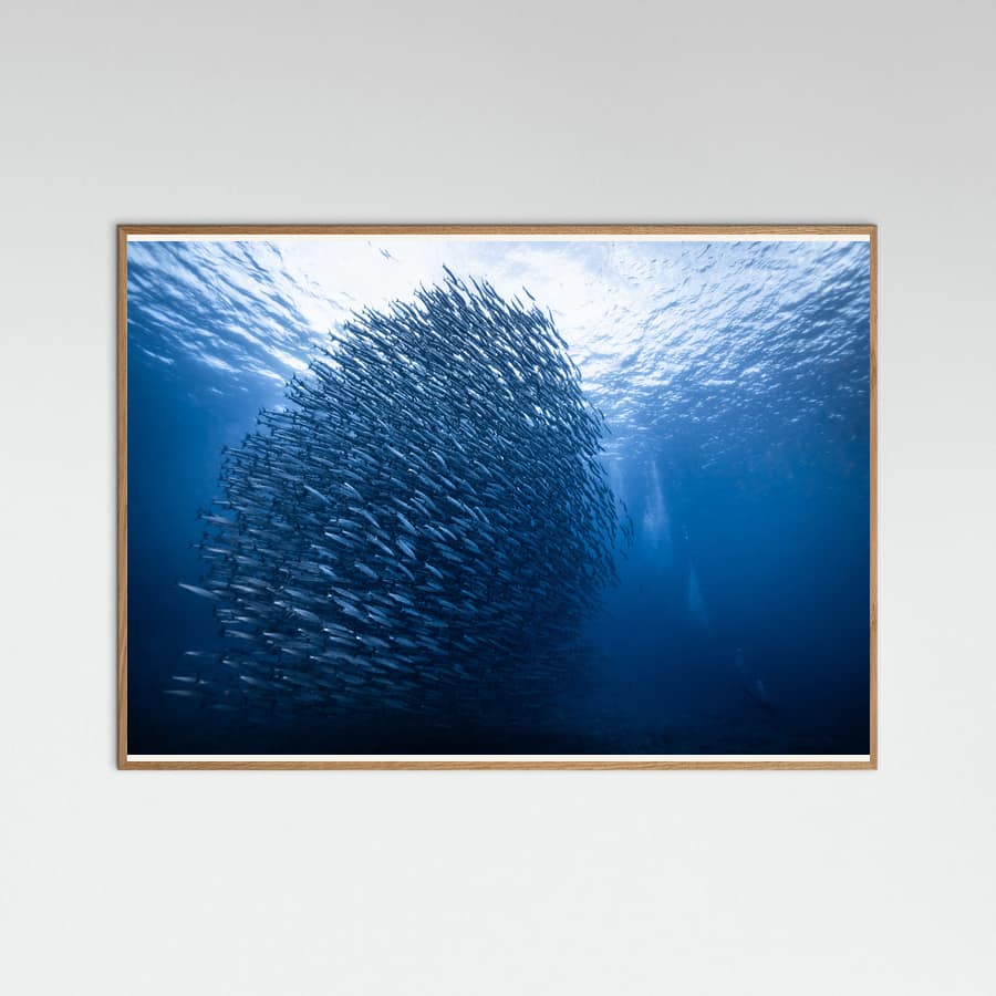 Mass giant Poster