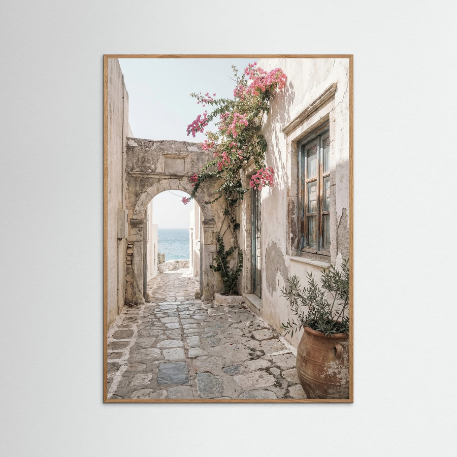 Mediterranean Courtyard