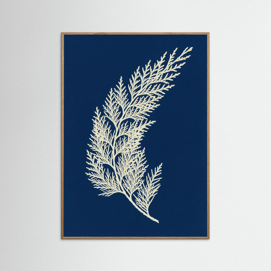 Mediterranean Foliage