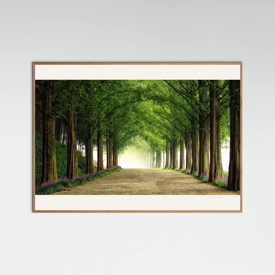 Metasequoia Road Poster – Poster und Kunstdruck