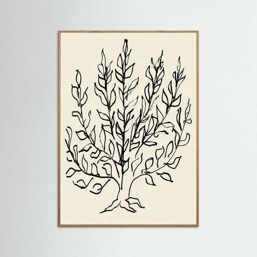 Minimalist Bush