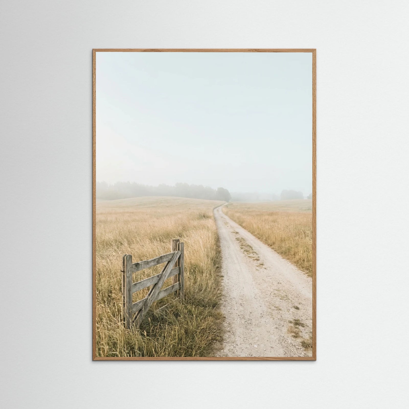 Oak Nature Misty Coastal Path