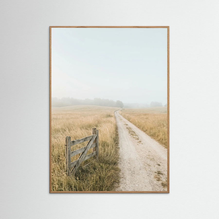 Misty Coastal Path