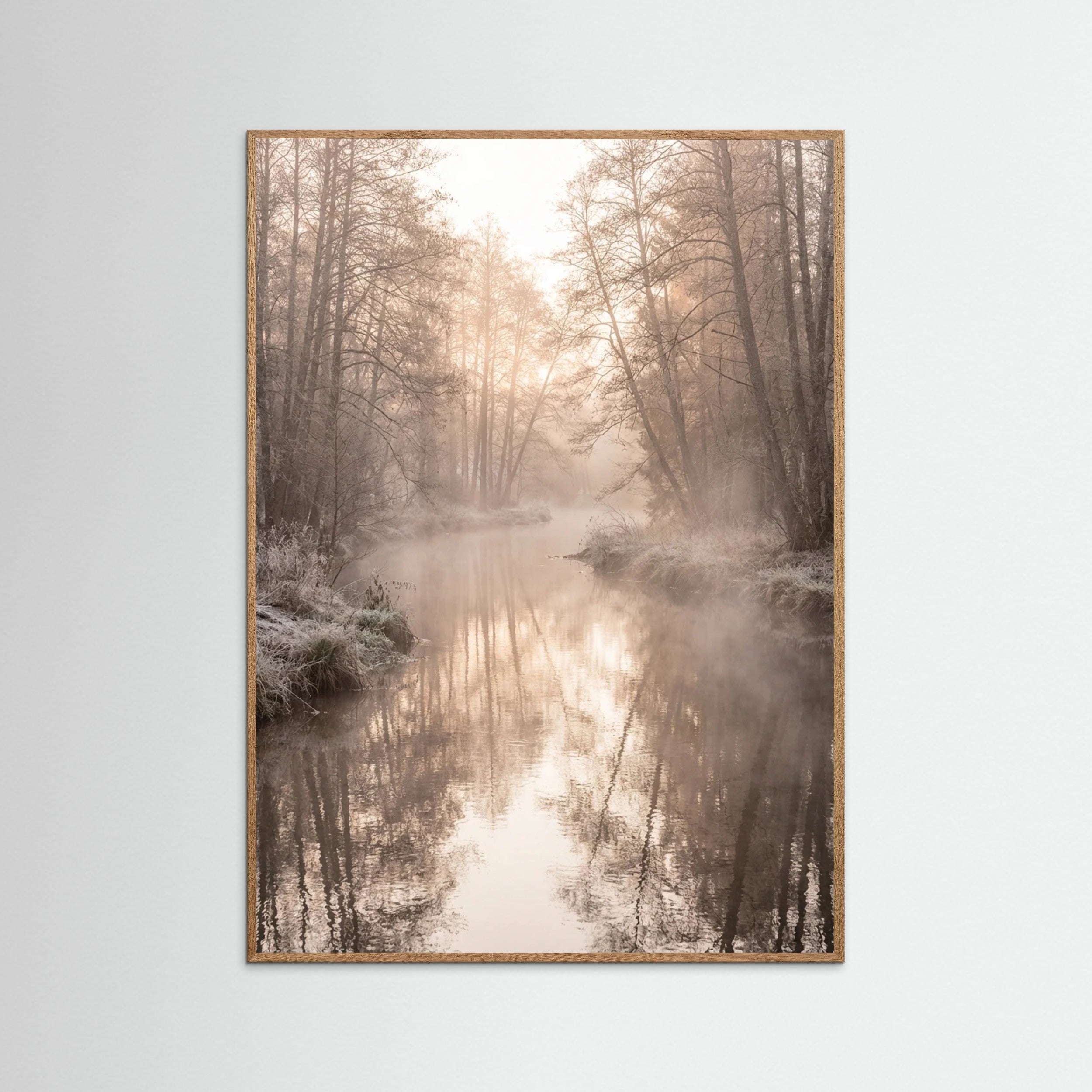 Oak Nature Misty Dawn Reflection