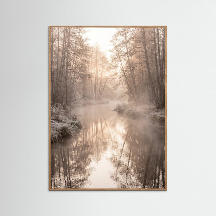 Oak Nature Misty Dawn Reflection