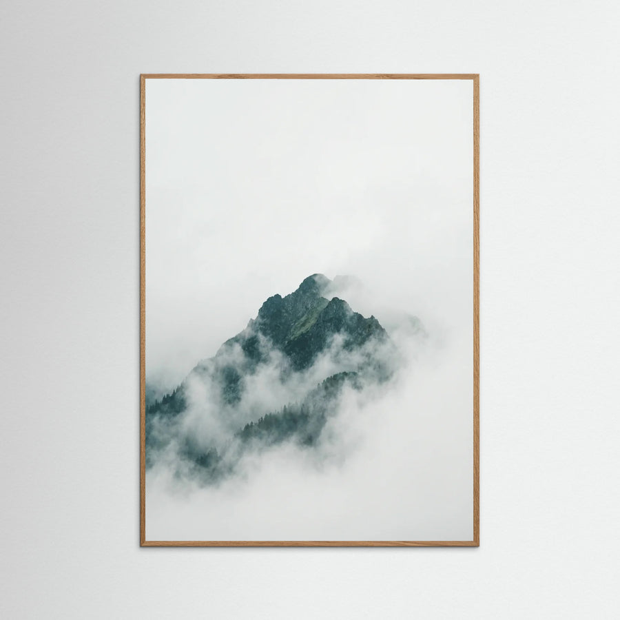 Misty Forest Canopy