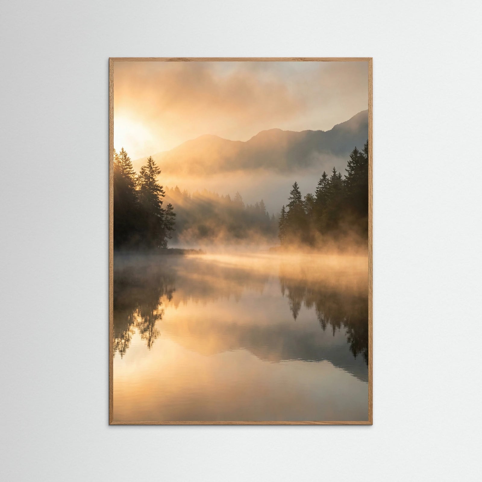 Oak Nature Misty Forest Dawn