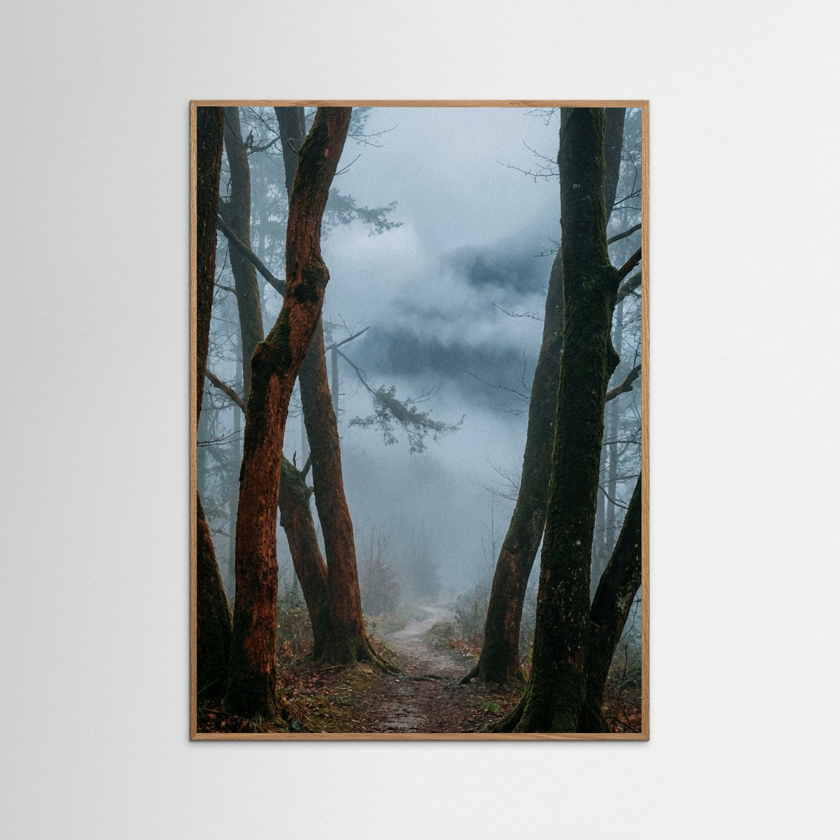 Oak Nature Misty Pines