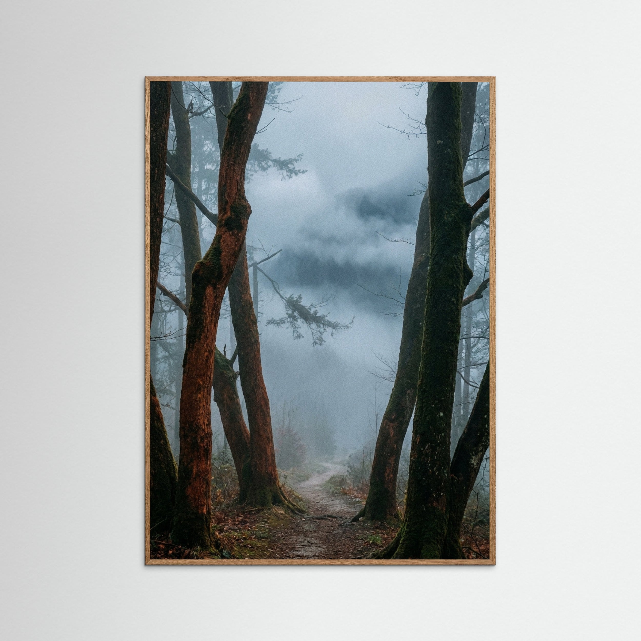 Oak Nature Misty Pines