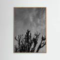 Oak Nature Monochrome Cactus Sky Poster