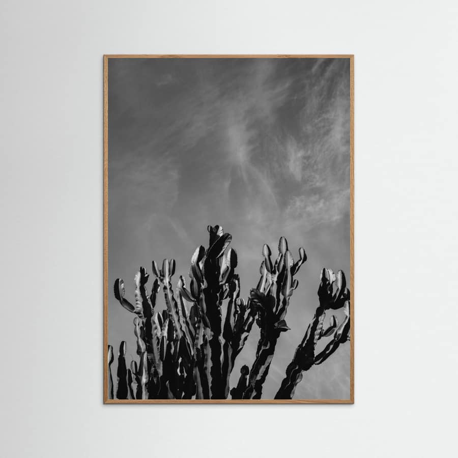Monochrome Cactus Sky Poster