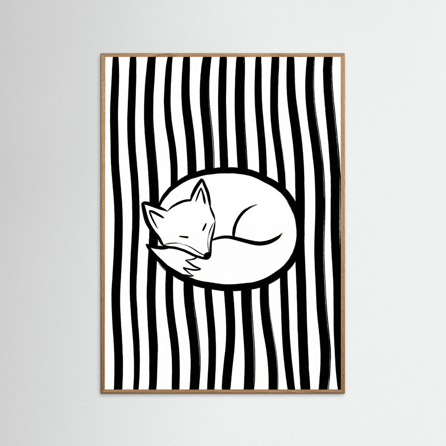 Monochrome Catnap