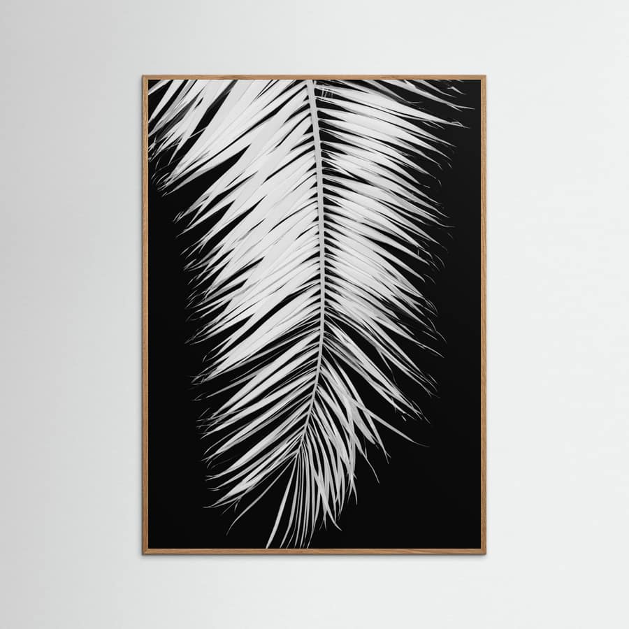 Poster Monochrome Palm Elegance – poster e stampa artistica