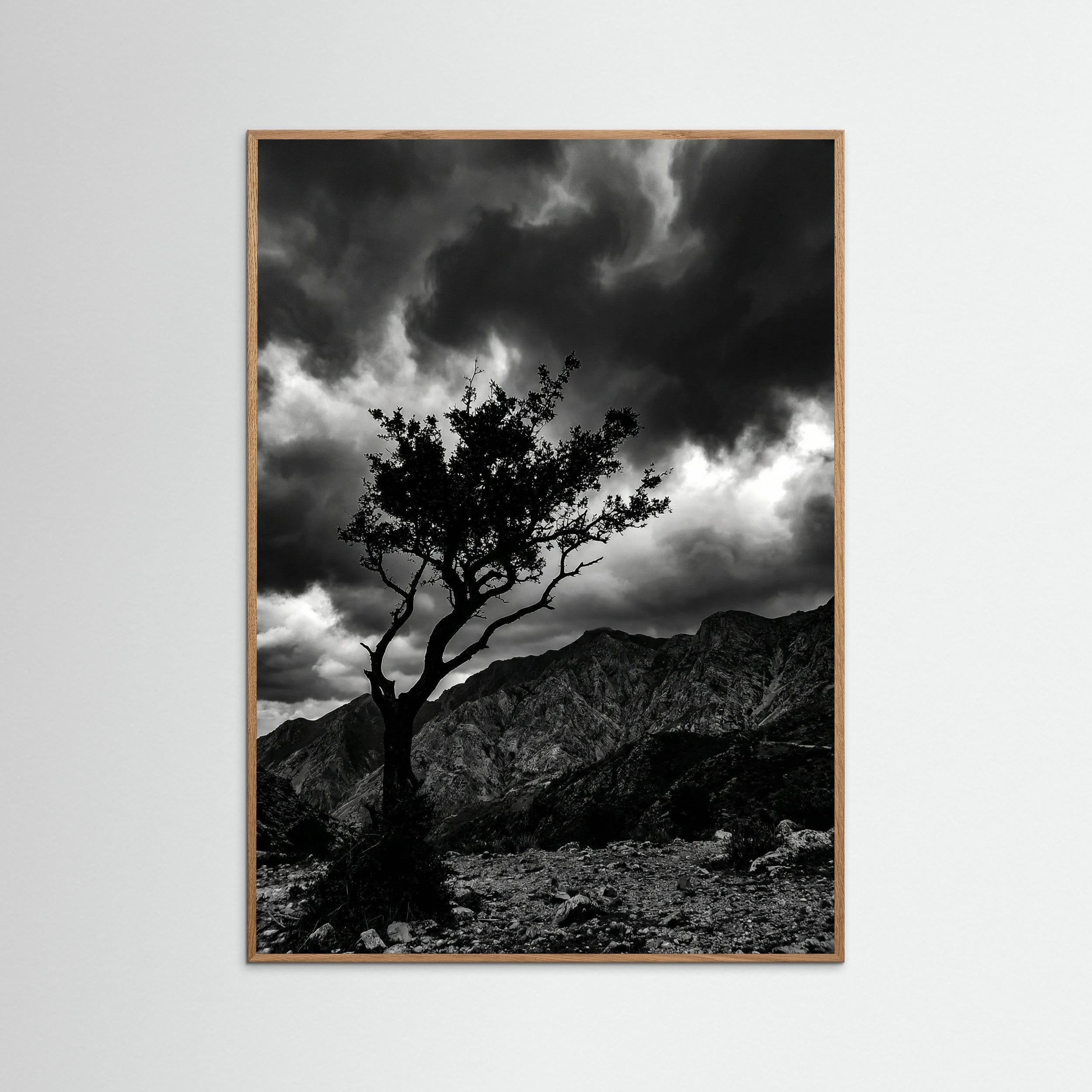 Oak Nature Monochrome Seascape