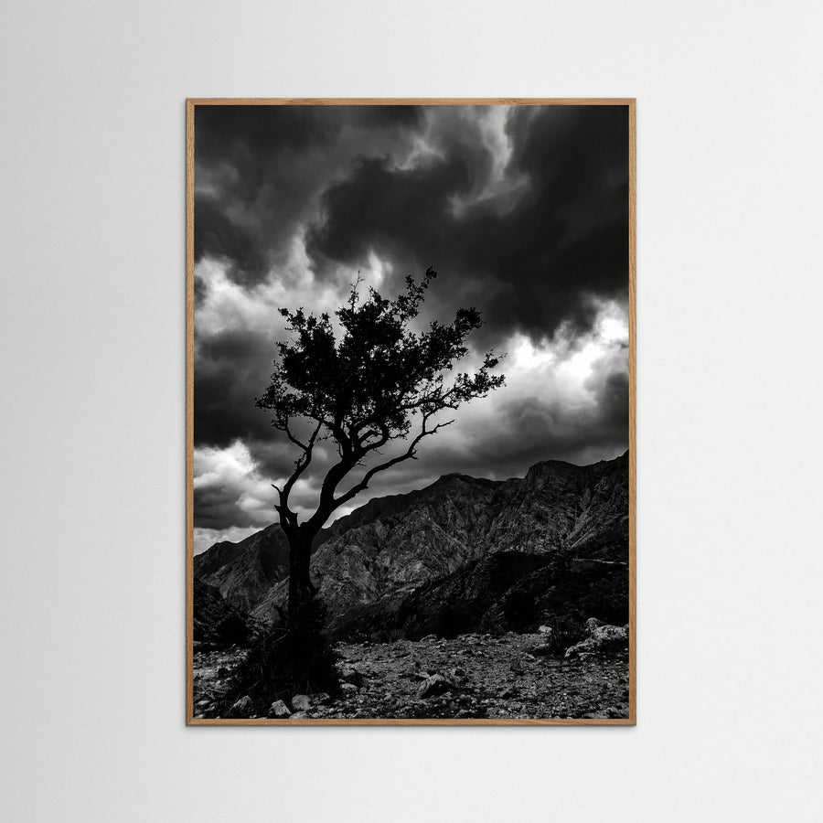 Monochrome Seascape