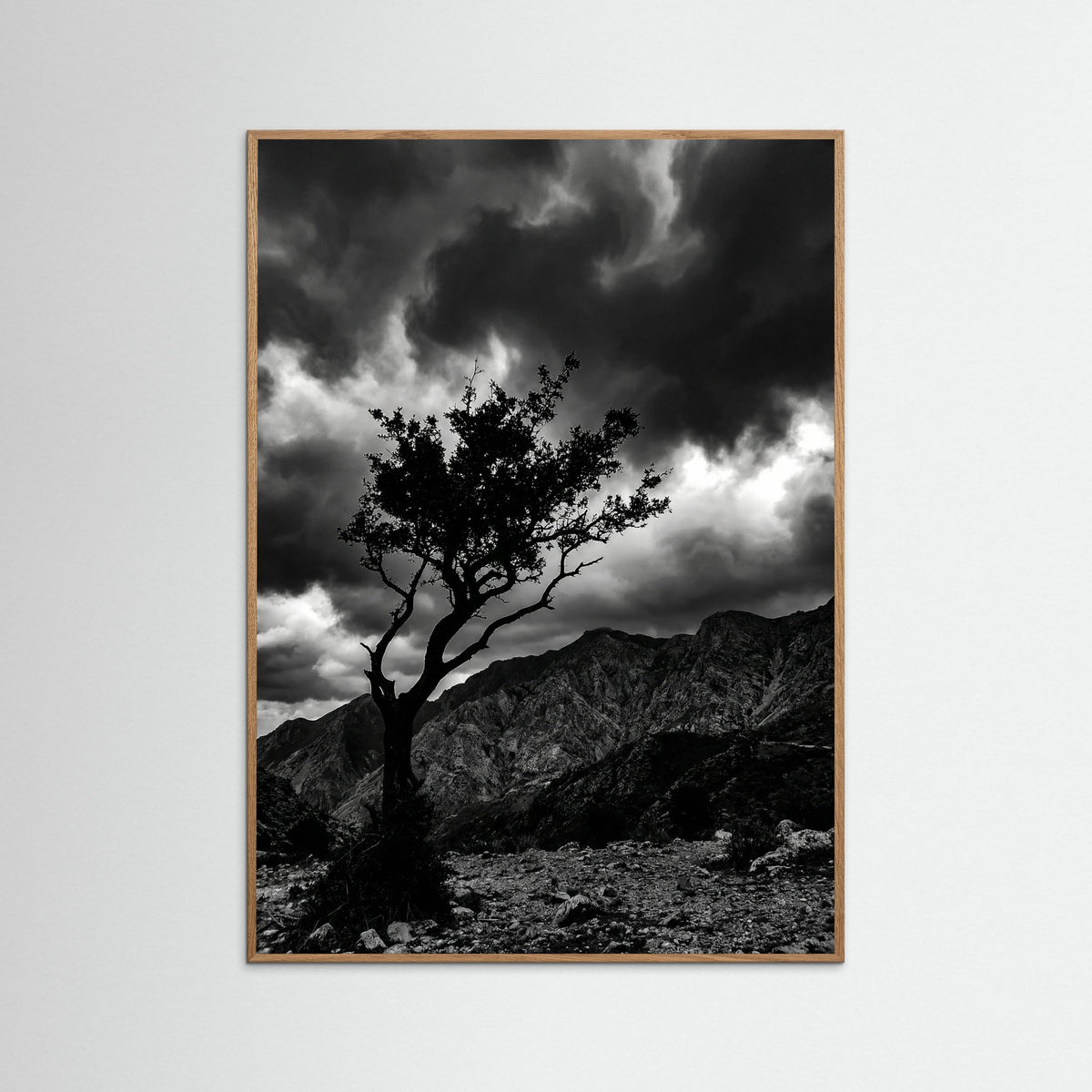 Oak Nature Monochrome Seascape