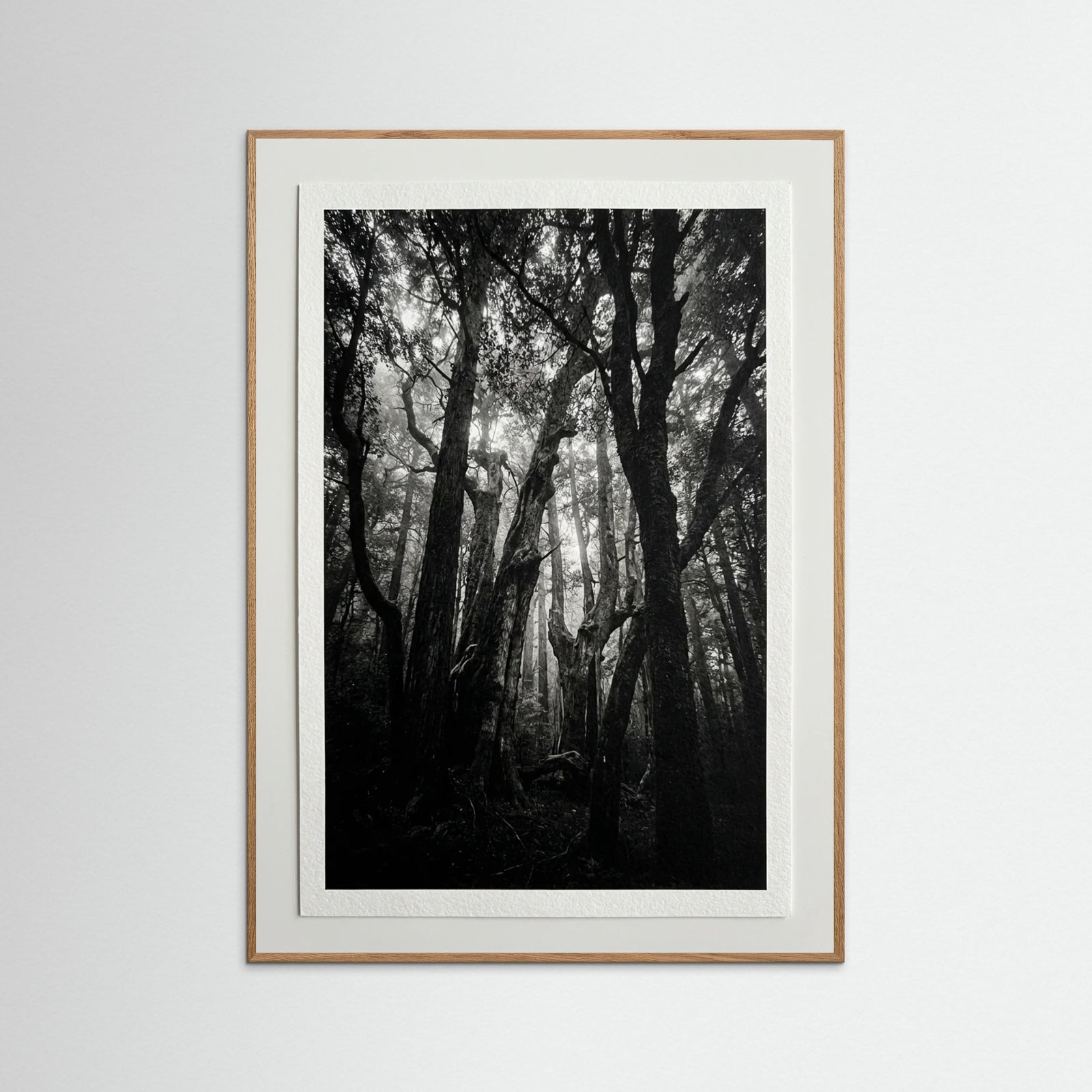 Oak Nature Monolith Coast