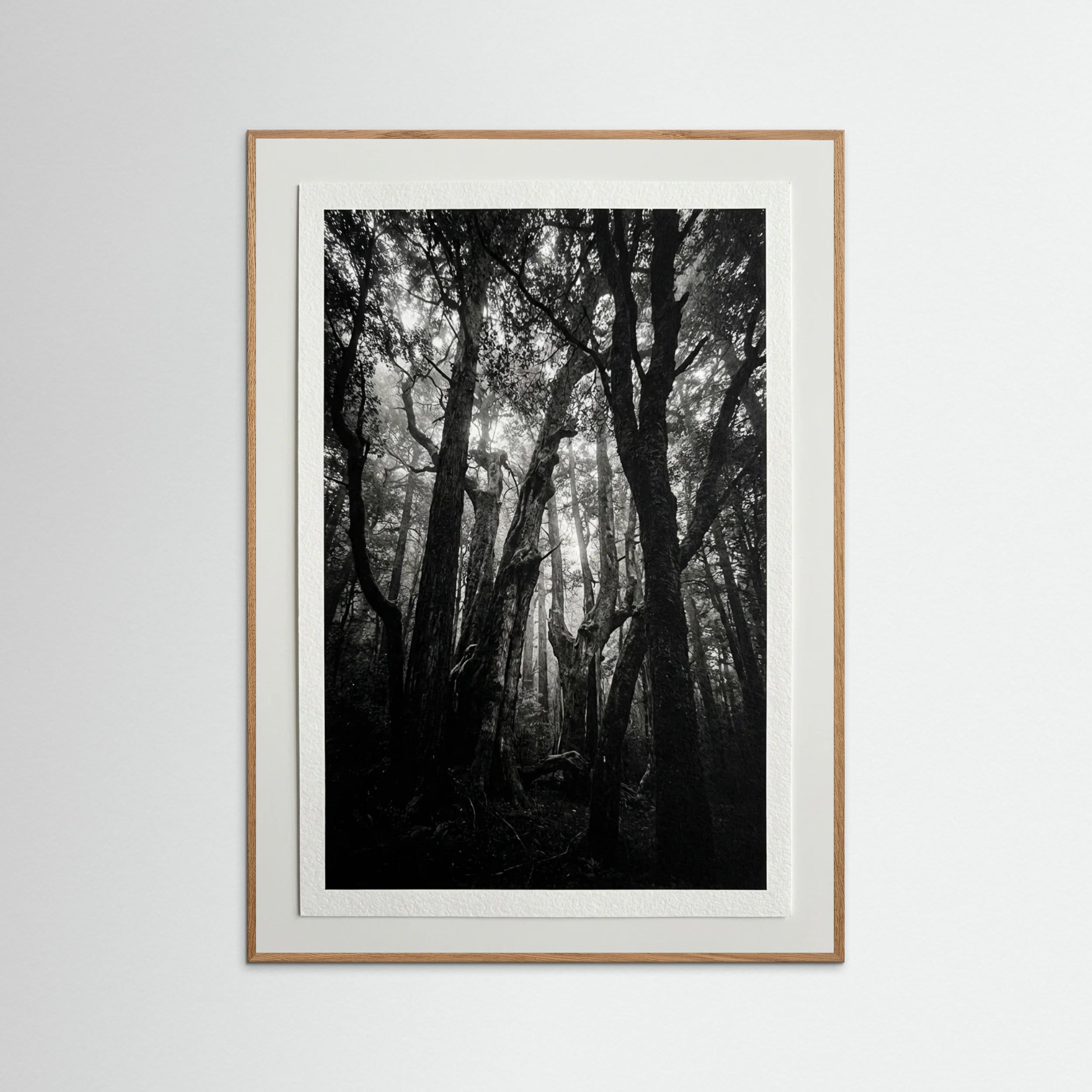 Oak Nature Monolith Coast