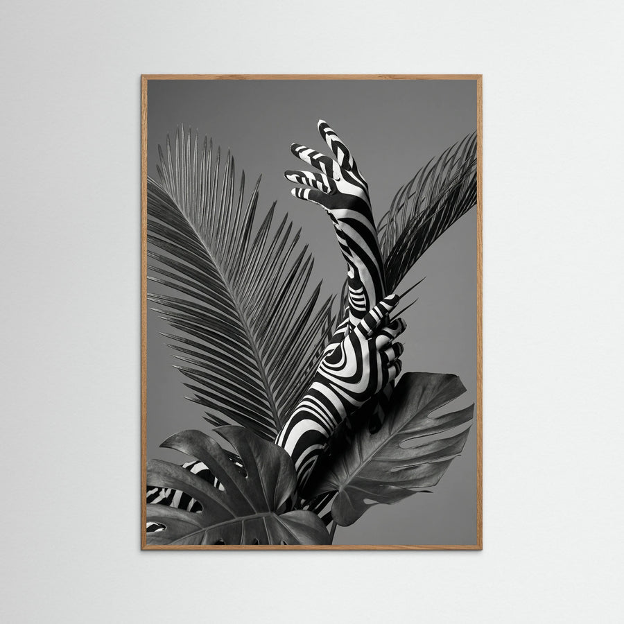 Monstera Grace