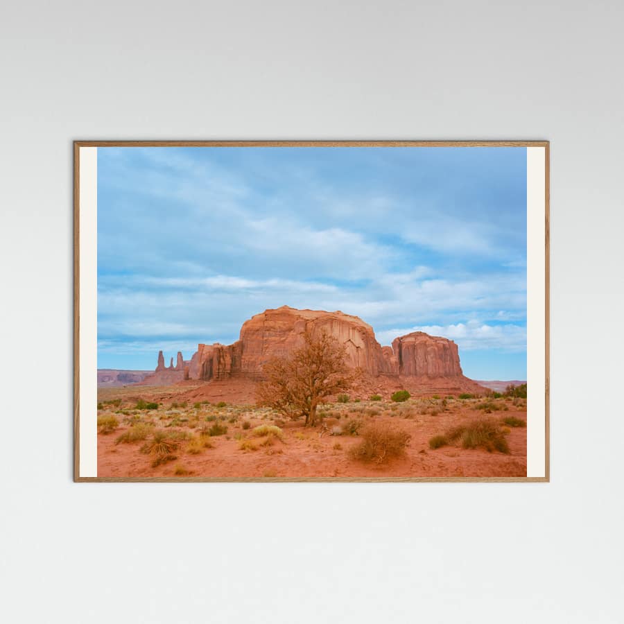 Monument Valley IX Poster