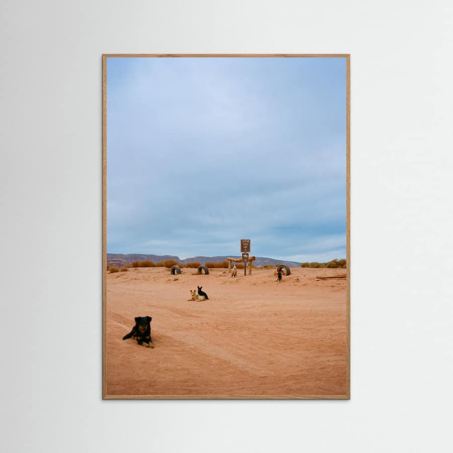 Monument Valley VIII Poster