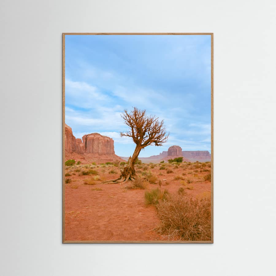 Monument Valley XI Poster