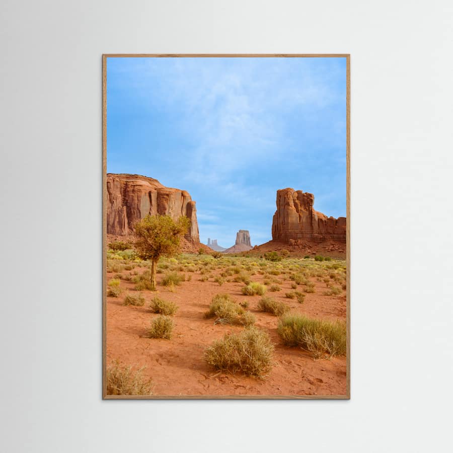 Monument Valley XII Poster