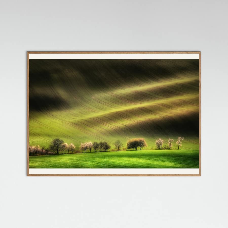 Moravian Fields Poster – Poster und Kunstdruck