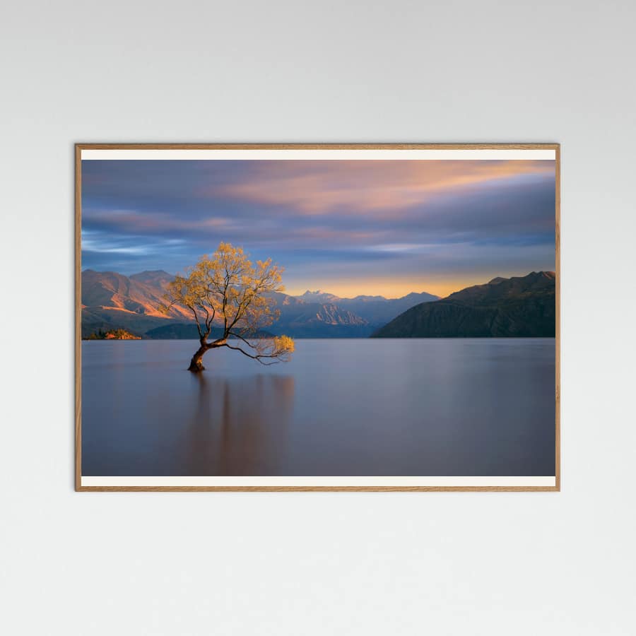 Morning Glow Poster