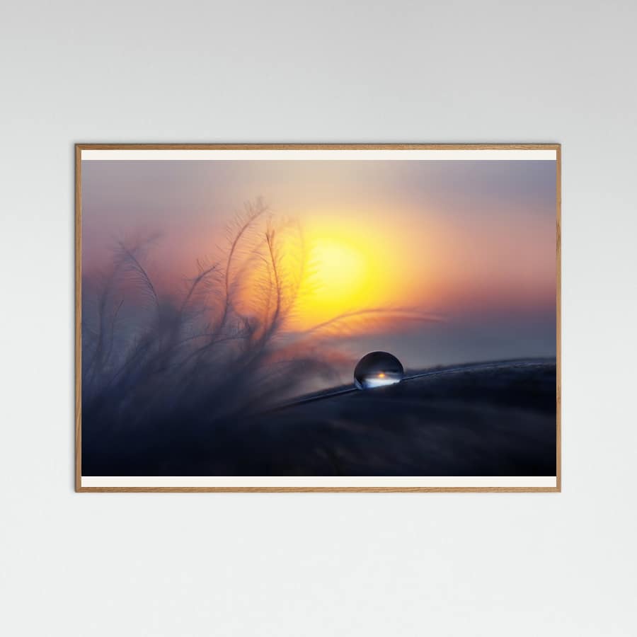 Morning -juliste – juliste ja taidepainatus