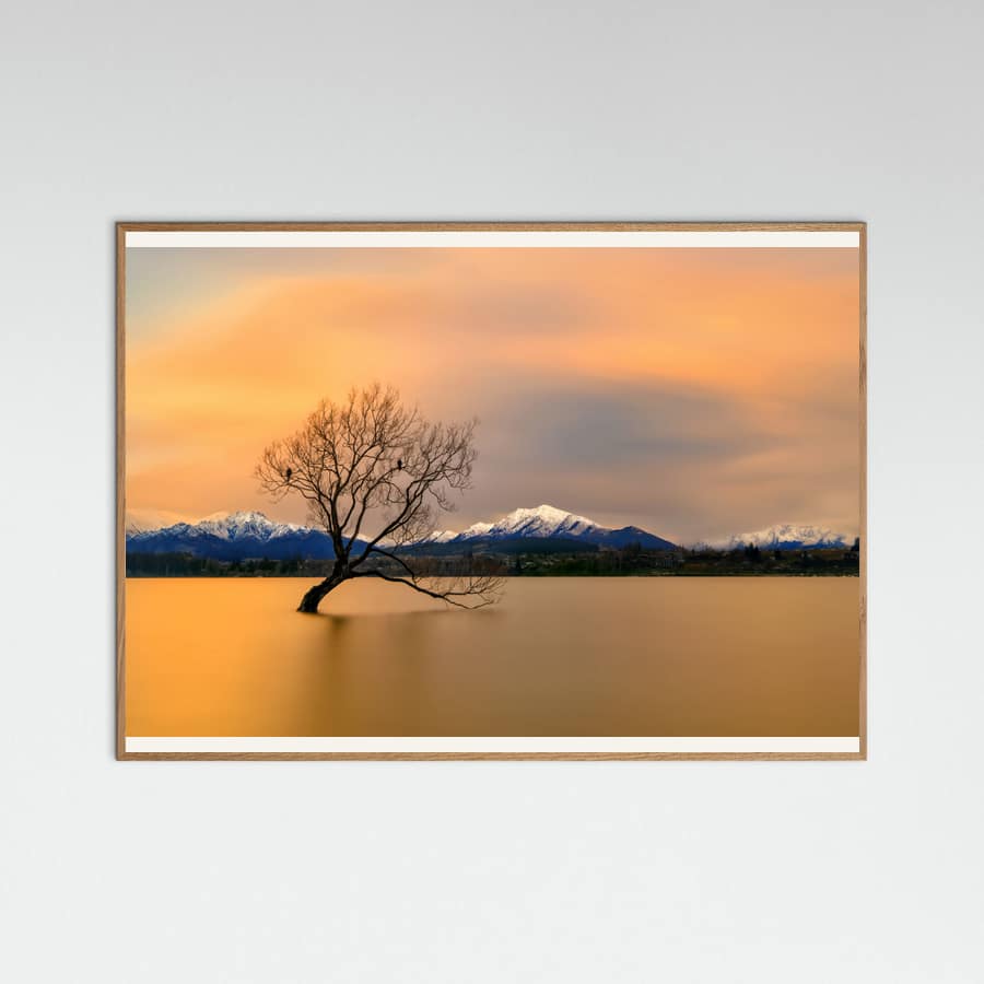 Morning glow of the Lake Wanaka Poster – poster and art print