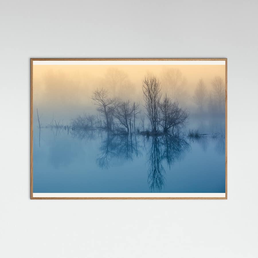 Plakat Morning reflection