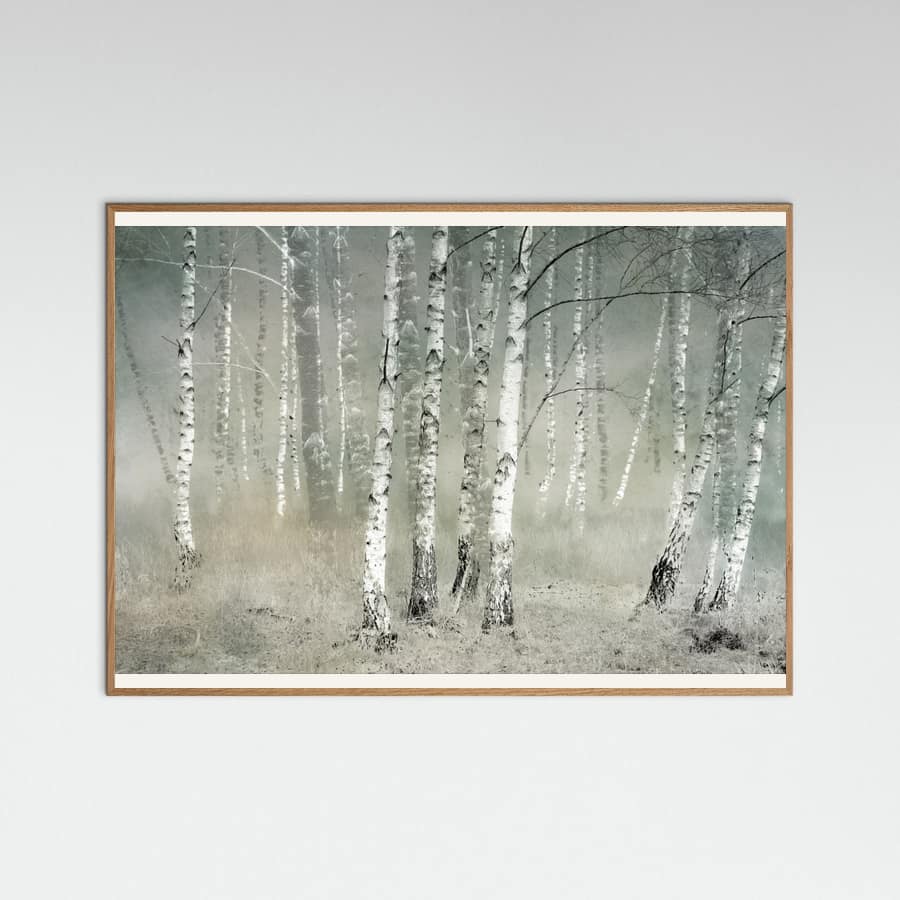 Plakat Morning silence – plakat i druk artystyczny