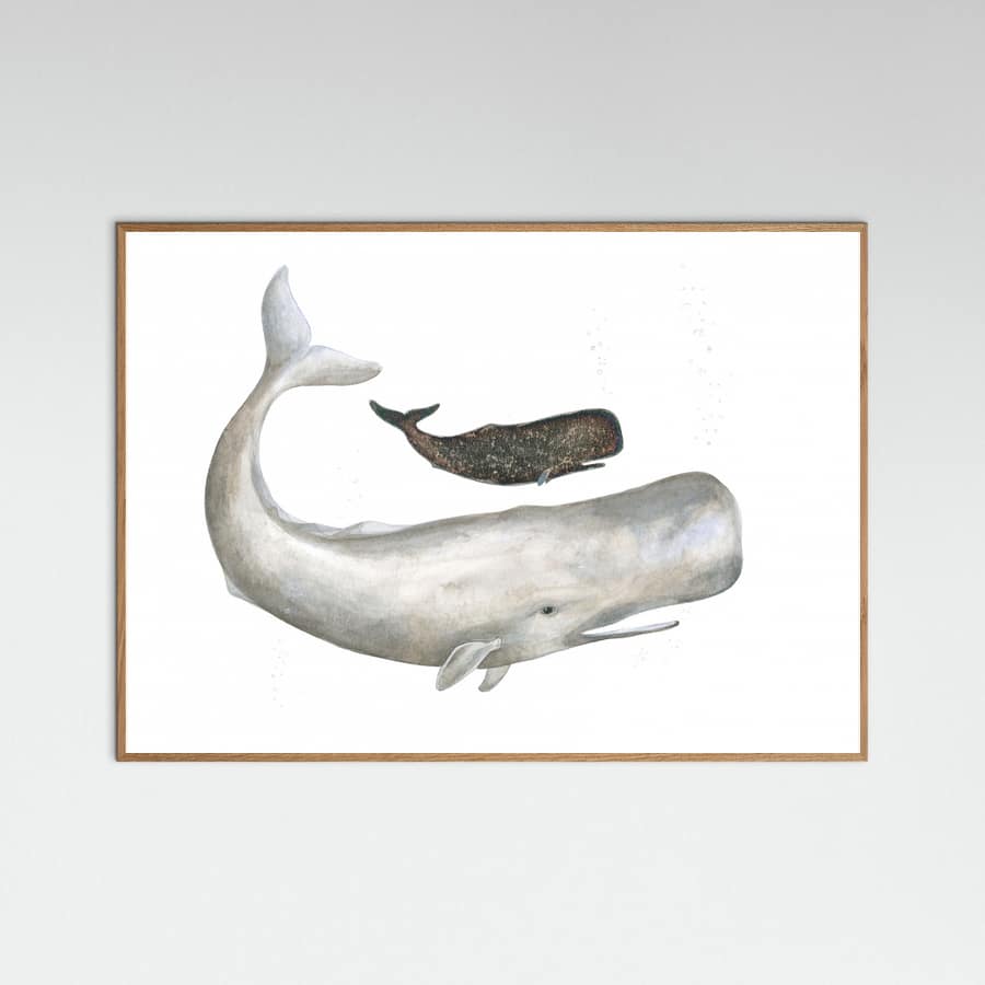 Mother and Baby Sperm Whale -juliste