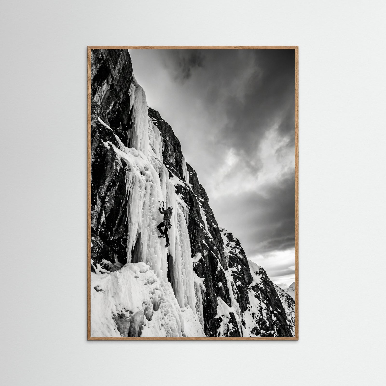 Oak Nature Mountain Leap