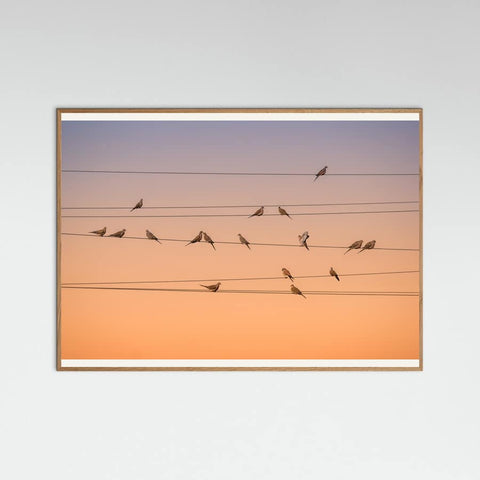 Oak Nature Music of Light Poster