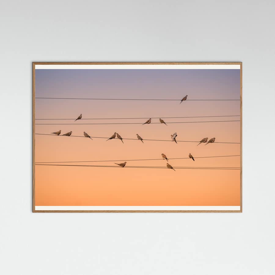 Music of Light Poster