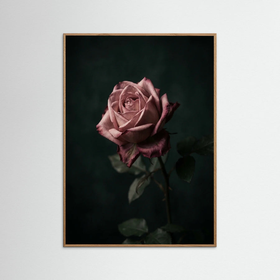Muted Grace
