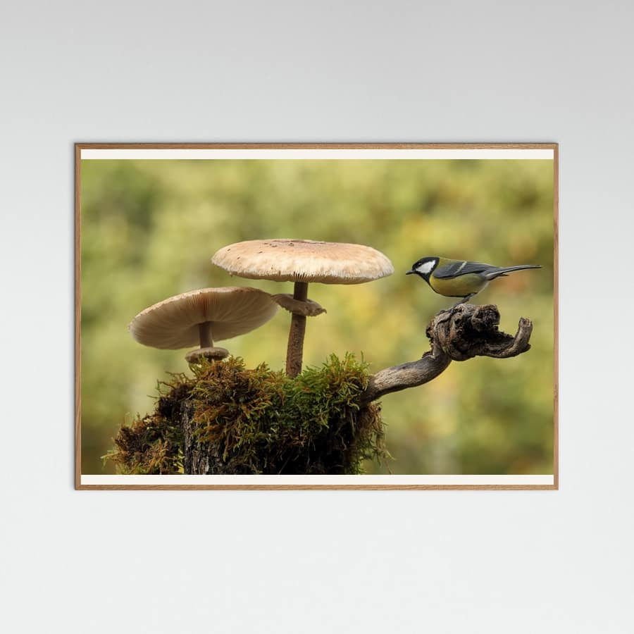 Plakat My small part of the world – plakat i druk artystyczny
