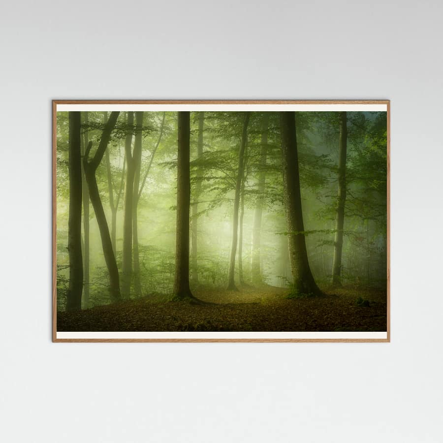 Mysterious Spring Morning Poster – plakat og kunsttryk