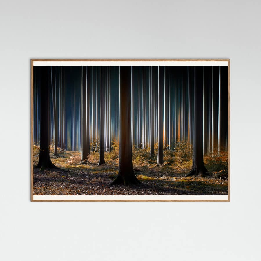 Plakat Mystic Wood – plakat i druk artystyczny