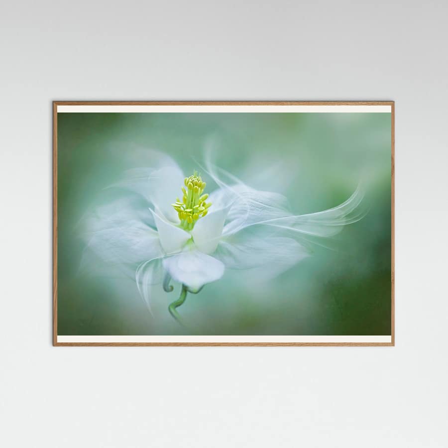 Mystical -juliste