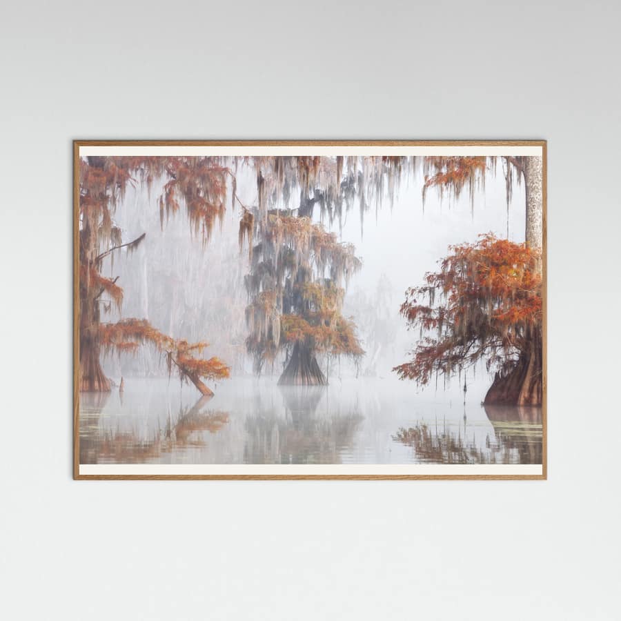Plakat Mysty Bayou – plakat i druk artystyczny
