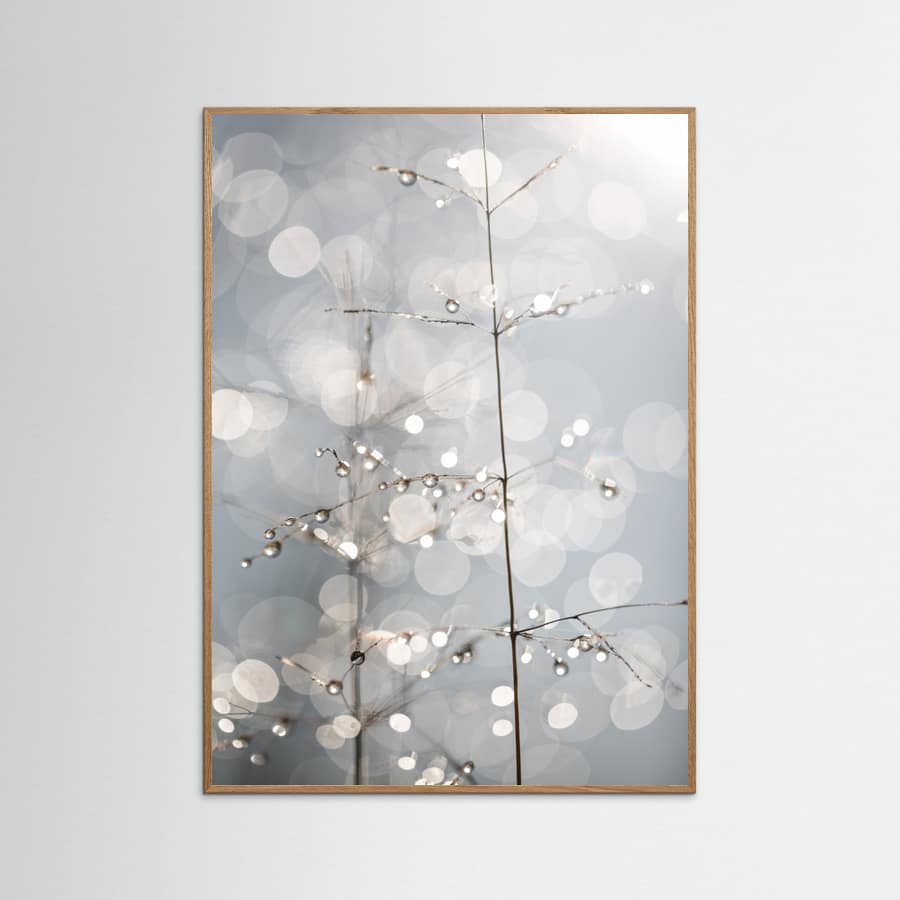 Affiche Natural Sparkle
